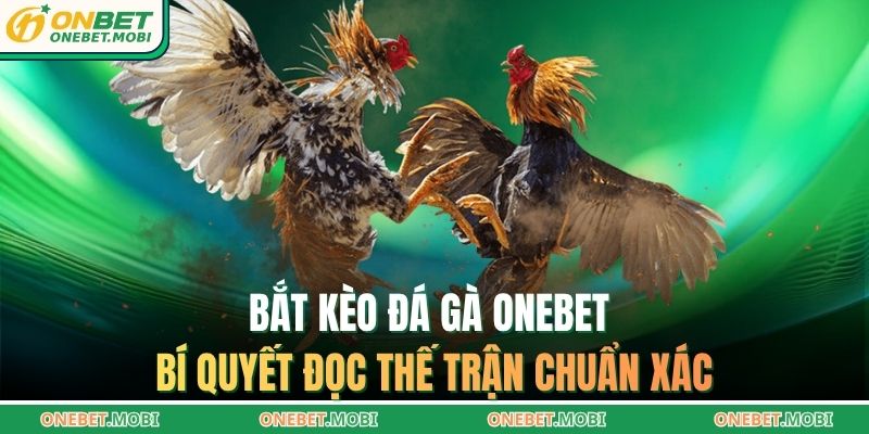 Bắt kèo đá gà ONEBET – Bí quyết đọc thế trận chuẩn xác 1 Bắt kèo đá gà ONEBET