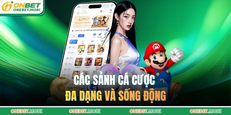 Các sảnh cá cược đa dạng và sống động