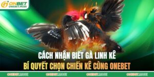 Cách nhận biết gà linh kê