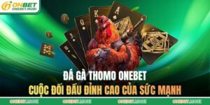 Đá gà thomo ONEBET