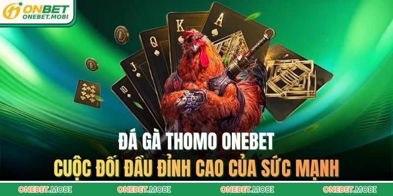 Đá gà thomo ONEBET