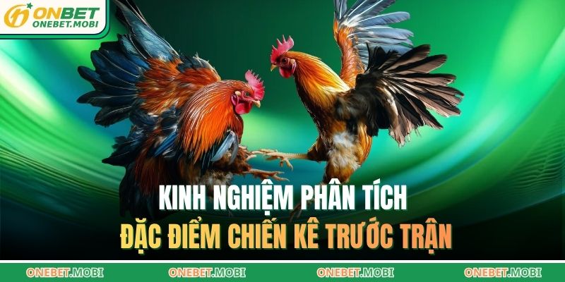 Bắt kèo đá gà ONEBET – Bí quyết đọc thế trận chuẩn xác 4 Kinh nghiệm phân tích đặc điểm chiến kê trước trận