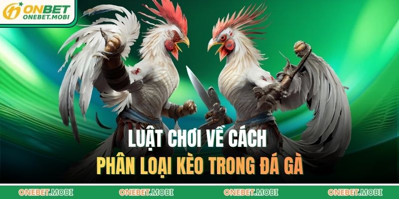 Bắt kèo đá gà ONEBET – Bí quyết đọc thế trận chuẩn xác 3 Luật chơi về cách phân loại kèo trong đá gà
