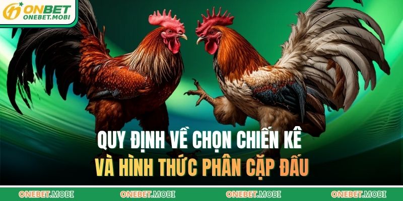 Quy định về chọn chiến kê và hình thức phân cặp đấu